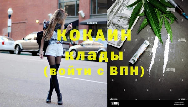 дживик Алзамай